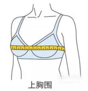 正确测量胸围的方法